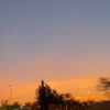 Lujaine A.
