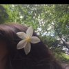 Muneeba A.
