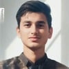 Faiz M.