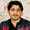 Sajjad H.