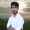 Hassnain A.