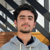 Hamid M.