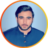 Hamza N.