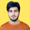 Touseef H.