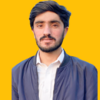 Sartaj A.