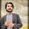 Ghazanfar G.