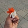 Madhu P.