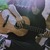 Linh N.