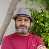 Noman B.