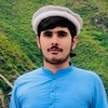 Mujtaba H.