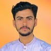 Hasnain N.