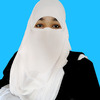 Tehreem F.