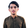 Ghazanfar H.
