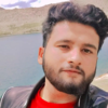Ammar A.