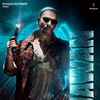 Vinay F.