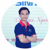 Vo Viet H.