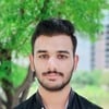 Arslan N.