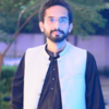 Syed Damin Abbas  H.