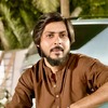Syed Fasih I.