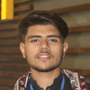 Naqi H.