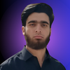 Khizar N.