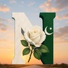 Muhammad  N.