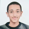 Abdelrahman S.