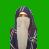 Hafsa S.