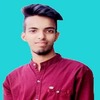 Md Sajibul H.