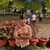 Sakshi S.