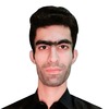 Nasir N.