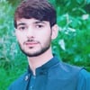 Shahzaib M.