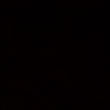 Priyanshu S.