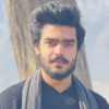 Muhammad Hassaan S.