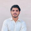 Shahzad H.