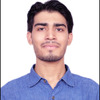 Aditya V.
