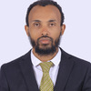 Diribsa M.