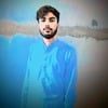 Amir A.