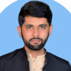 Tayyab K.