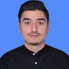 Waseem A.