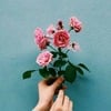 Hadeel E.