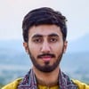 Muhammad Talha Z.