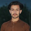 Sheryar K.