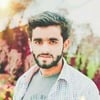 Faraz F.