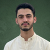 Shujahat A.