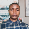 Oyeniyi N.