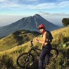 Rifai A.