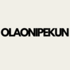 Olaonipekun A.