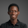 Ogunseye T.