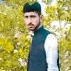 Arslan M.
